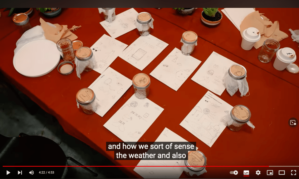 workshop: The Weathering Collective at the Biennale of&nbsp;Sydney