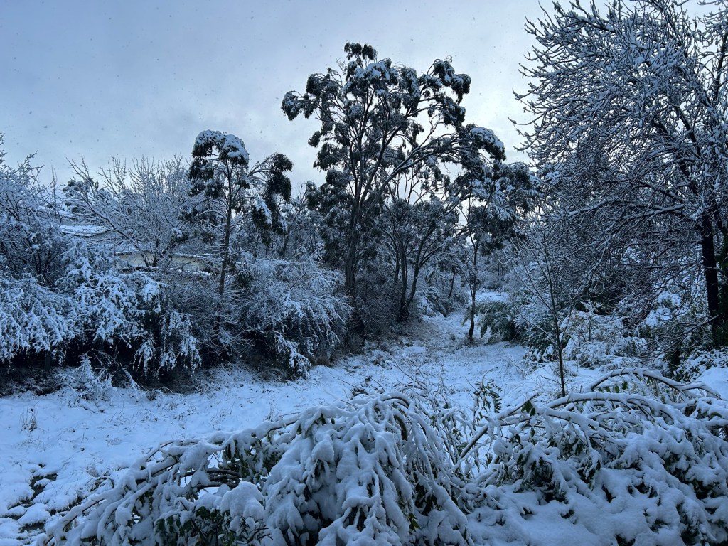 EVENT: Armidale Snowstorm